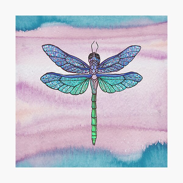 Dragonfly 2 Photographic Print