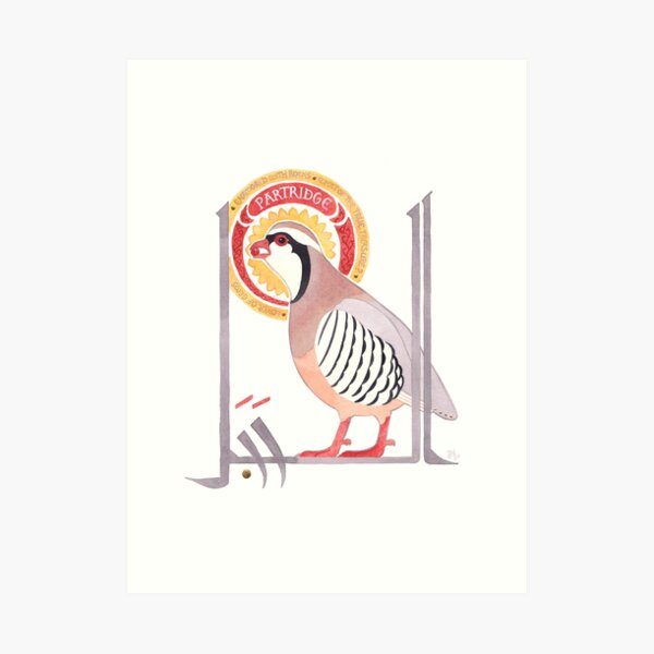 The Conference of the Birds: The Partridge Art Print