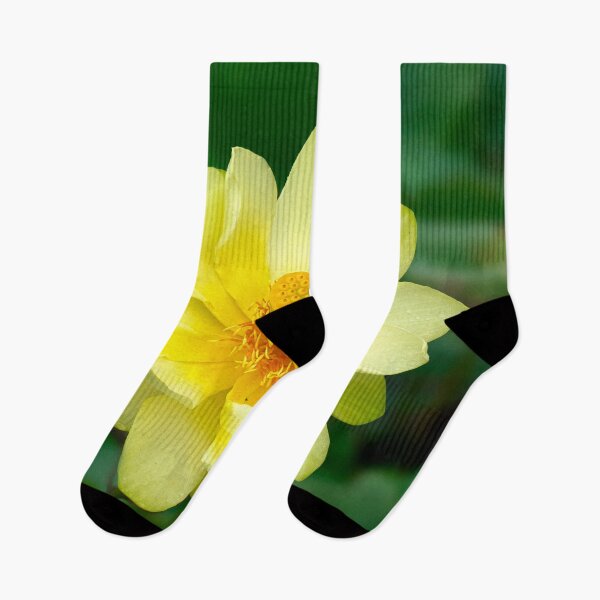 Item preview, Yellow American Lotus Flower designed and sold by Kathy Weaver.