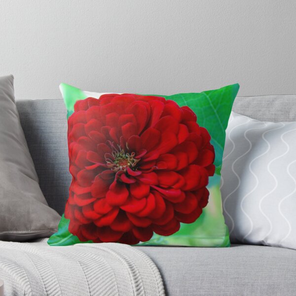 Item preview, Red Zinnia  designed and sold by barnsis.