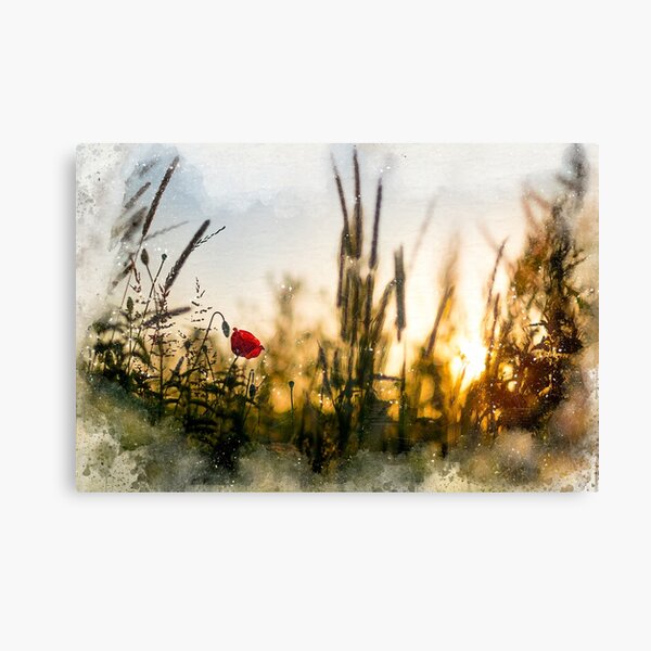 A small magical world painted Canvas Print