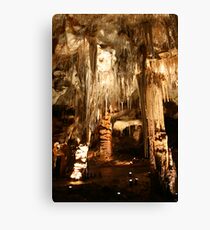 Tantanoola cave, South Australia Canvas Print