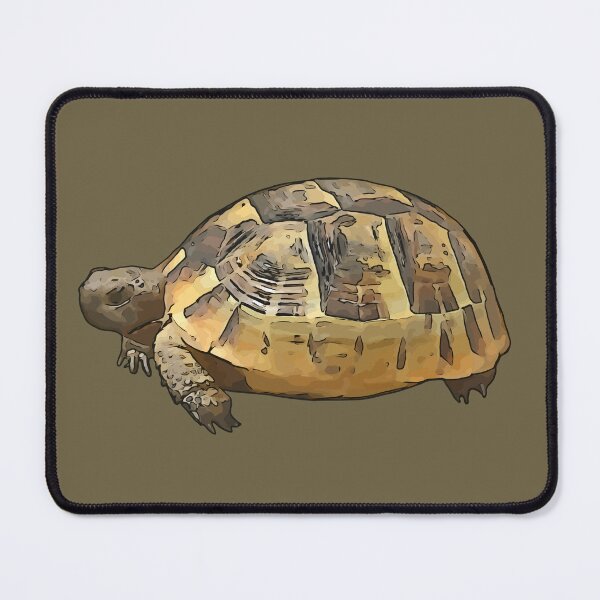 Item preview, Side View of A Young Wild Tortoise Cartoon Cut Out designed and sold by taiche.