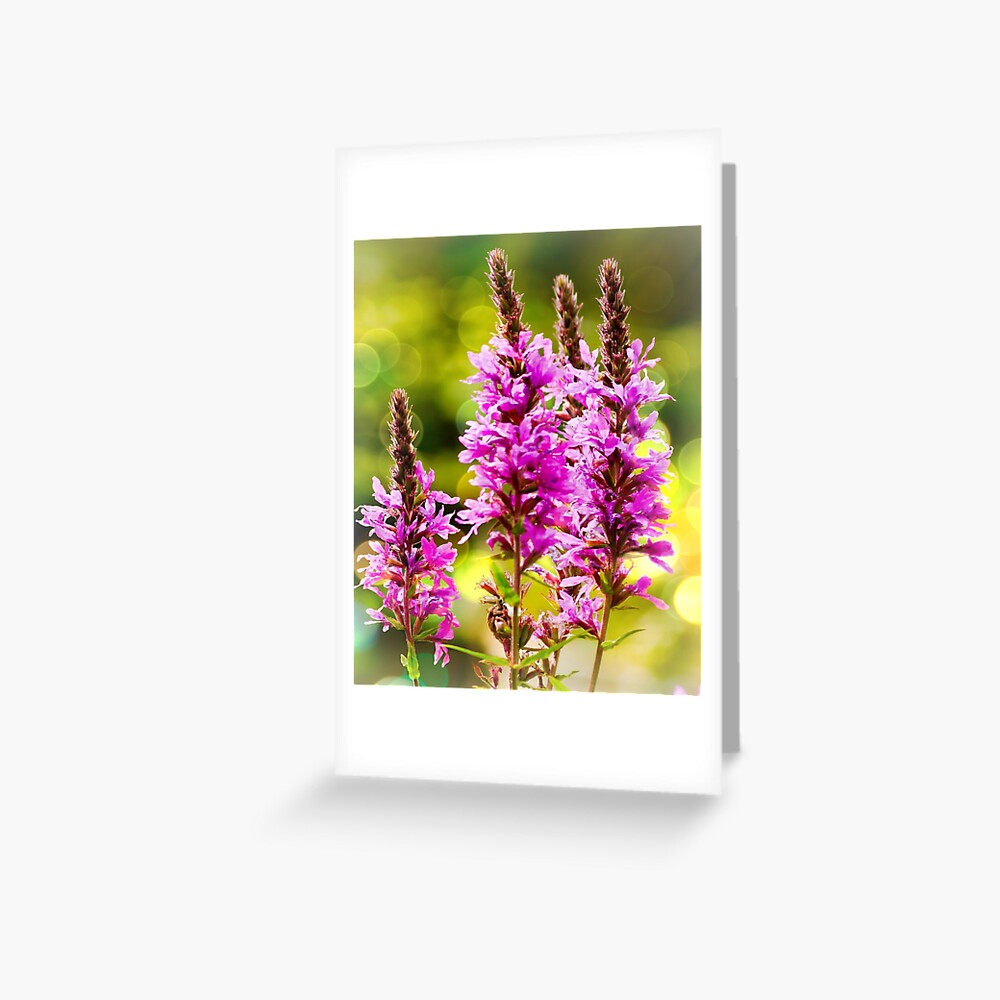 Item preview, Greeting Card designed and sold by ScenicViewPics.