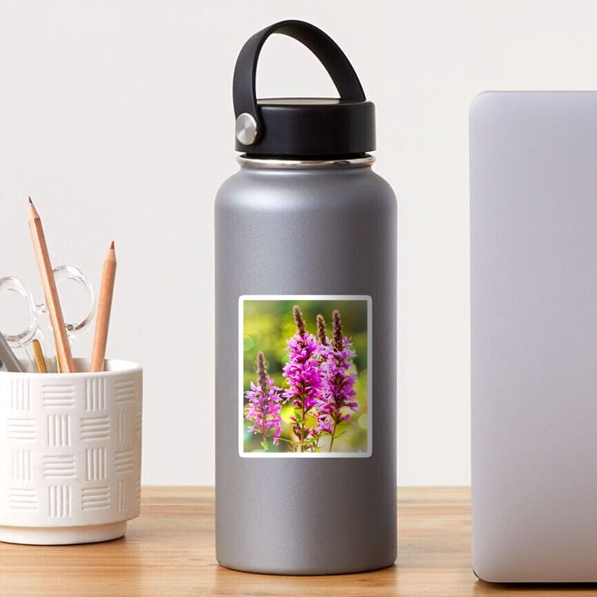 Item preview, Sticker designed and sold by ScenicViewPics.