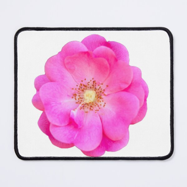 Item preview, PINK RUGOSA designed and sold by KatisDesign.