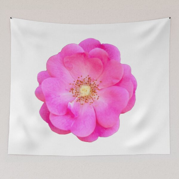 Item preview, PINK RUGOSA designed and sold by KatisDesign.