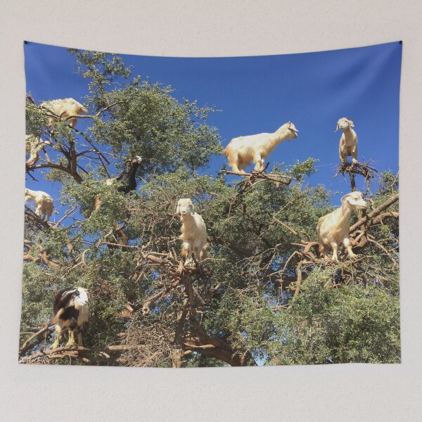 Item preview, Goats in an argan tree designed and sold by AHELENE.