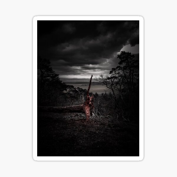 Dark Woods - Magic Roots in the Palatinate Forest #2 Sticker