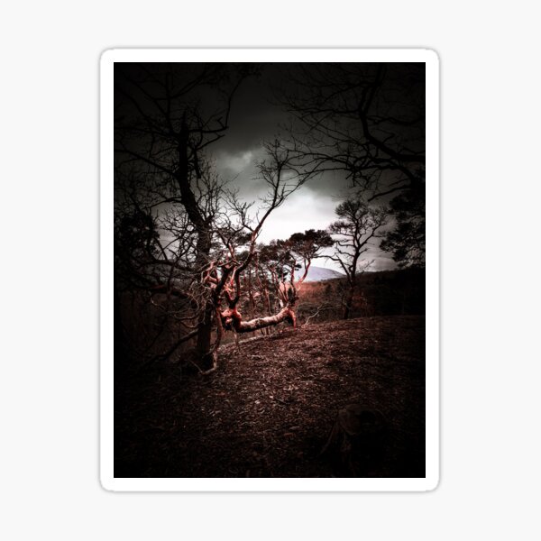 Dark Woods - Magical Roots in the Palatinate Forest #3 Sticker