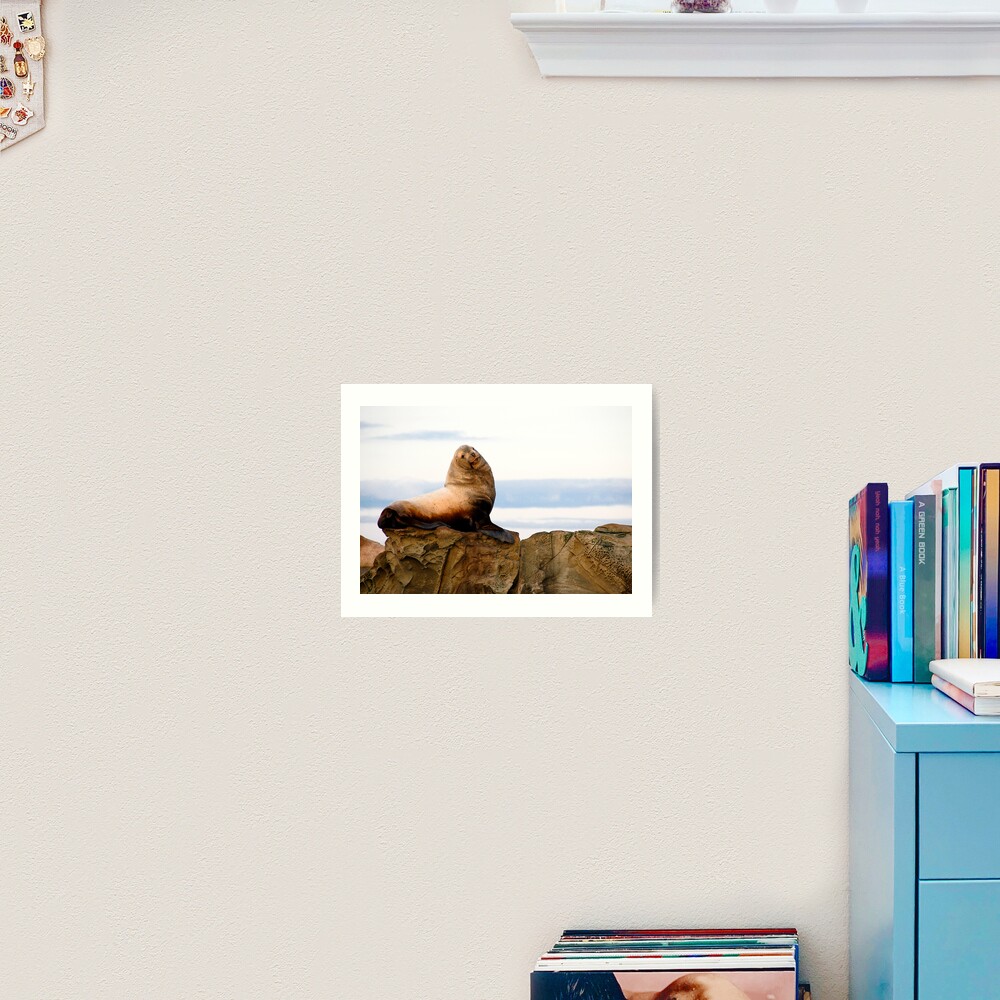 Proud Sea Lion Art Print