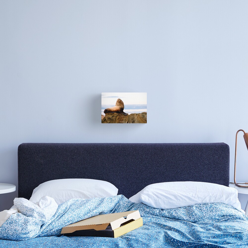 Proud Sea Lion Canvas Print