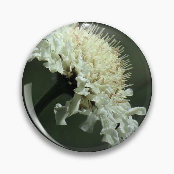 Item preview, Scabiosa designed and sold by Sharon Perrett.