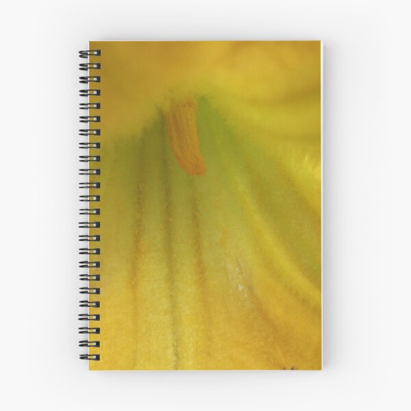 Item preview.