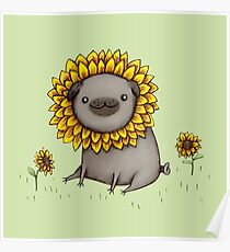 Pugflower Poster
