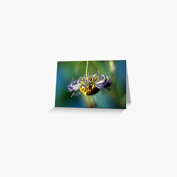 She's Come Undone Greeting Card