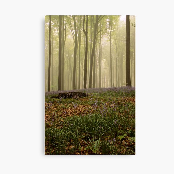 Blue bells Canvas Print