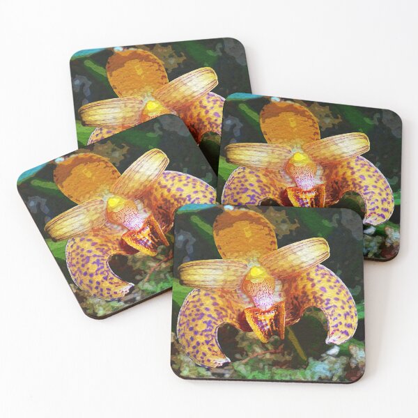 Item preview, Bulbophyllum lobbii orchid  designed and sold by Floral-Art.