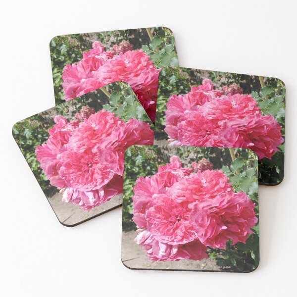 Item preview, This pink rose is full of dreams designed and sold by Raigitam.
