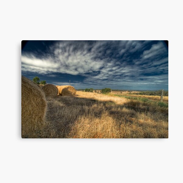 Golden Days Canvas Print