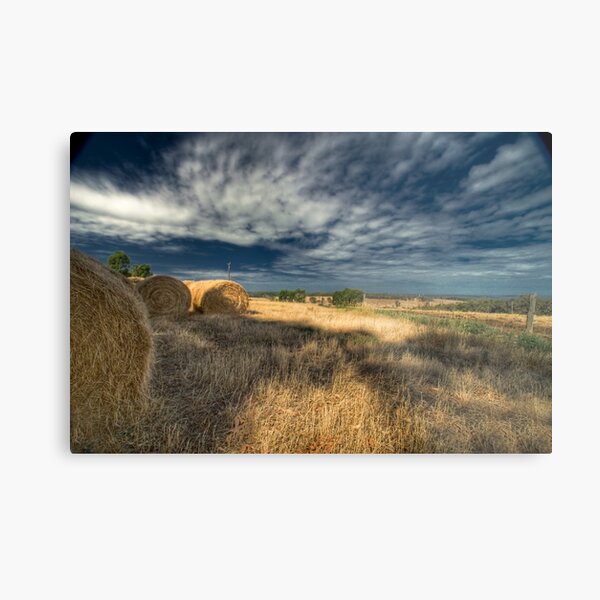 Golden Days Metal Print