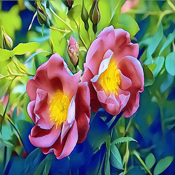 Imagen de la obra CUADRO ROSA RUGOSA de KatisDesign