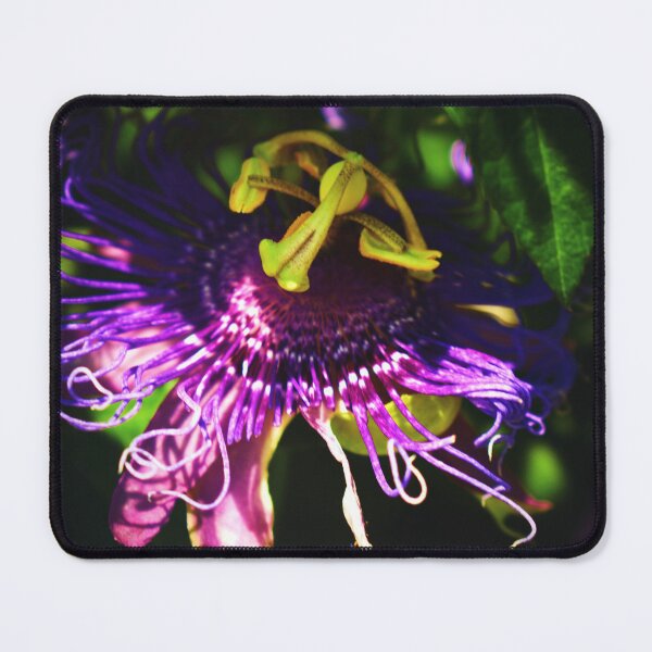 Item preview, Shyness designed and sold by Melanie Uadjit.