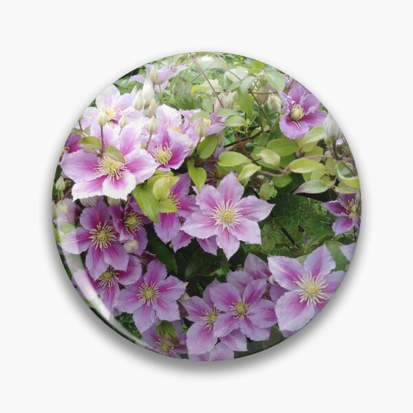 Item preview, Purple clematis is full of joy designed and sold by Raigitam.