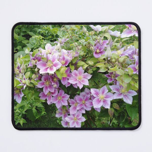 Item preview, Purple clematis is full of joy designed and sold by Raigitam.