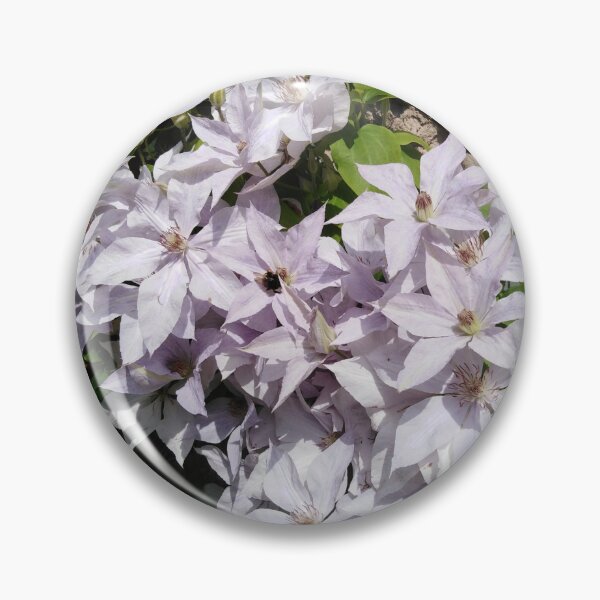 Item preview, White clematis is like heaven in earth designed and sold by Raigitam.