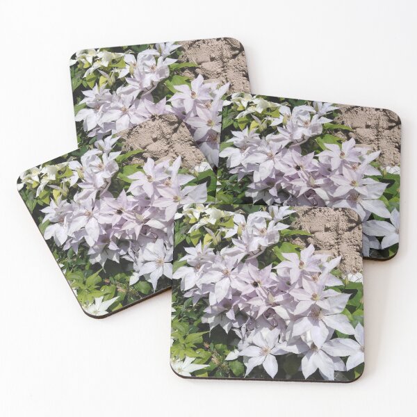 Item preview, White clematis is like heaven in earth designed and sold by Raigitam.