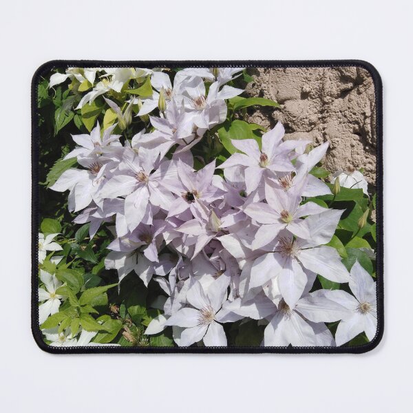 Item preview, White clematis is like heaven in earth designed and sold by Raigitam.