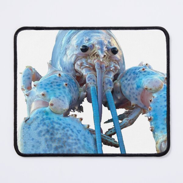 Item preview, blue lobster jumpscare designed and sold by Sr-vinnce.