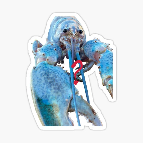 "blue lobster jumpscare meme" Sticker for Sale by Srvinnce Redbubble