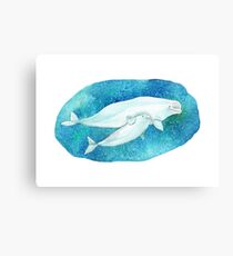 Cute Beluga whales Canvas Print