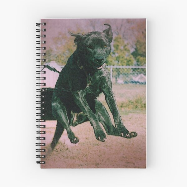 Item preview, Ginseng Jumping For Joy designed and sold by WildestArt.