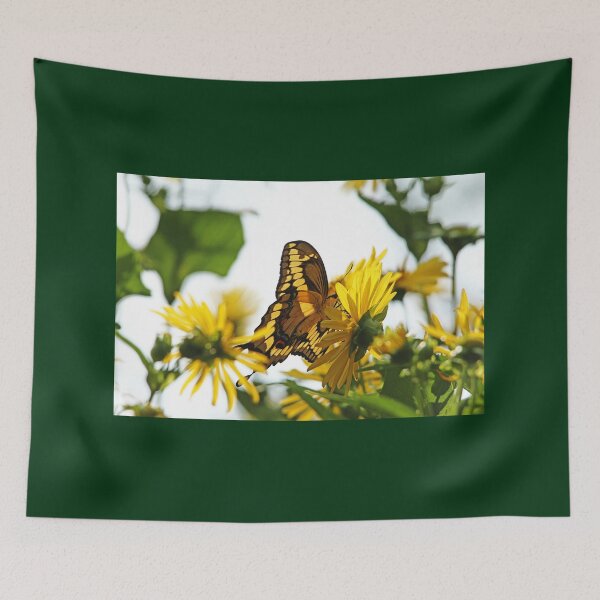 Item preview, Giant Swallowtail In Morning Light designed and sold by Debbie Oppermann.