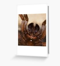 FANGS Greeting Card