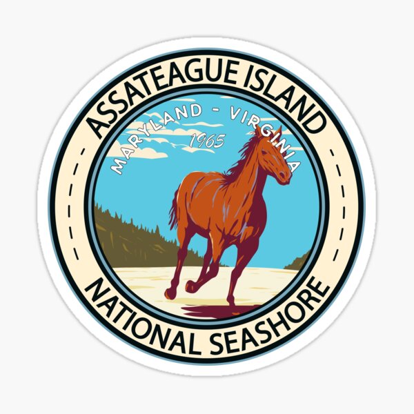 Aperçu de l'œuvre Insigne du littoral national de l'île Assateague créée et vendue par KrisSidDesigns.