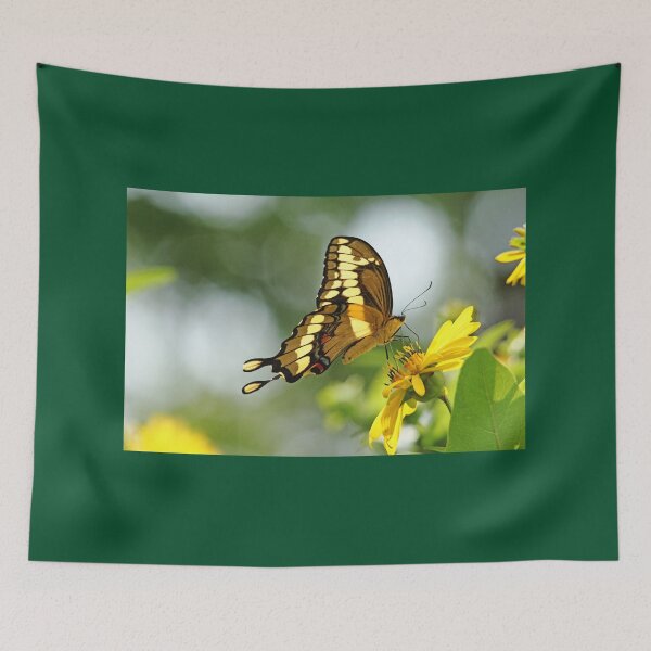 Item preview, Giant Swallowtail On Cup Plant designed and sold by Debbie Oppermann.