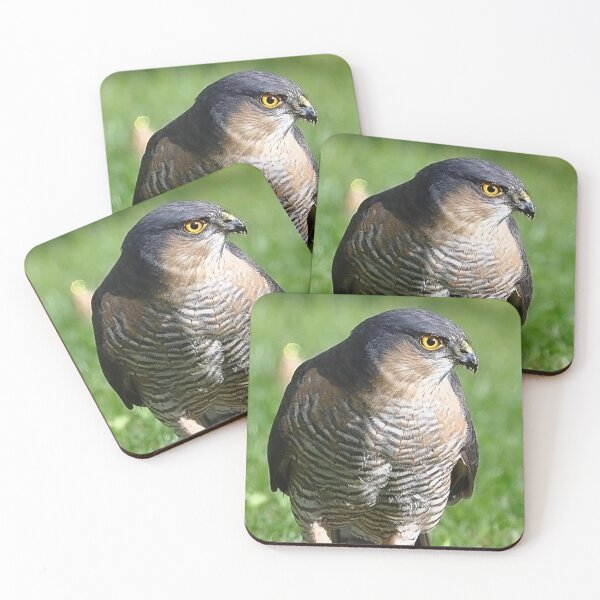 Item preview, Sparrowhawk  designed and sold by Declan Carr.