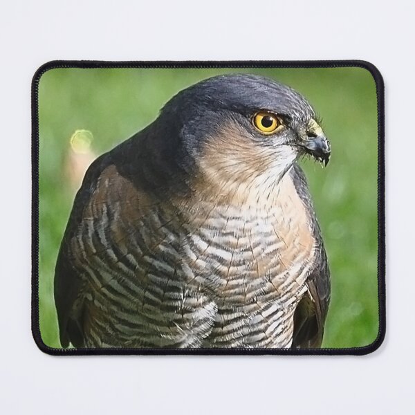 Item preview, Sparrowhawk designed and sold by Declan Carr.