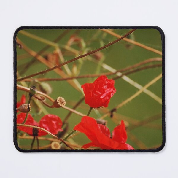 Item preview, Remember the Somme designed and sold by Declan Carr.