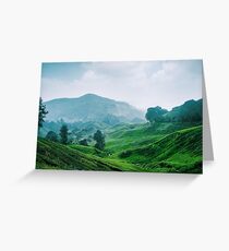 Tea Plantation, Malaysia. Greeting Card