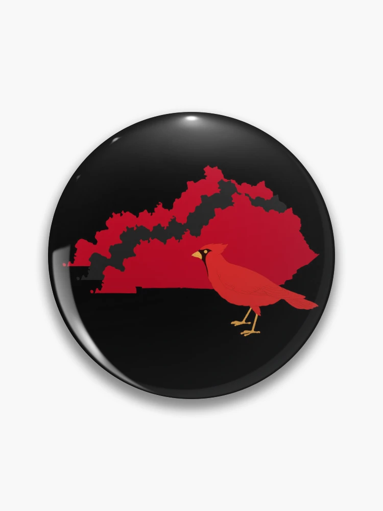 Pin on L1C4