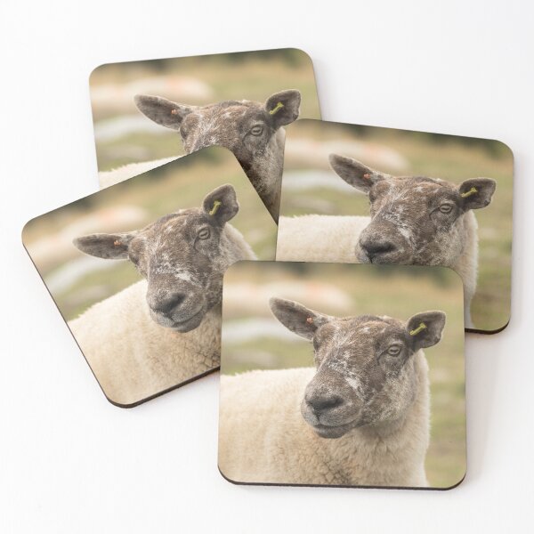 Item preview, Sheep Portrait designed and sold by Jane Stanley Photography.