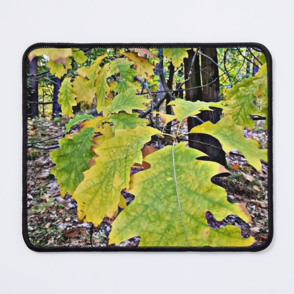 Item preview, "sugar maple tree" designed and sold by Shubatdesigns.