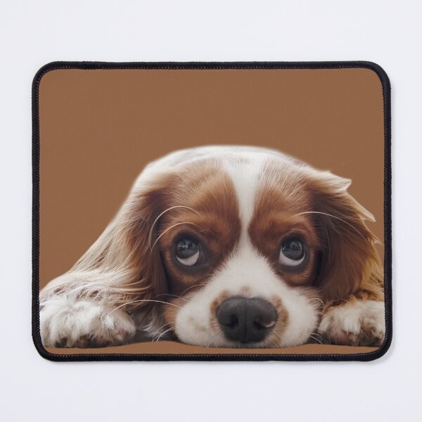 Item preview, The King Charles the III, King of England Cavalier, Gift for The Cavie Dog Lover, King Charles Spaniel designed and sold by DiensDesign.