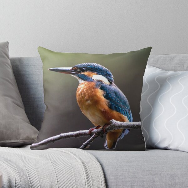 Kingfisher cushion shop