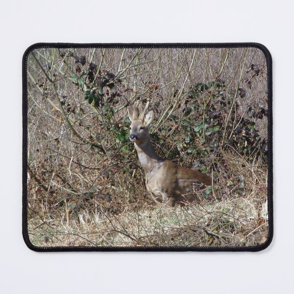 Item preview,  Deer designed and sold by Sharon Perrett.